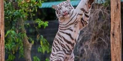 球盟会·(中国)-官方网站