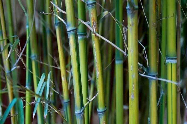 球盟会·(中国)-官方网站