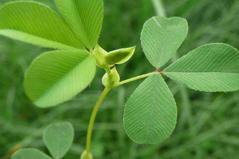 球盟会·(中国)-官方网站