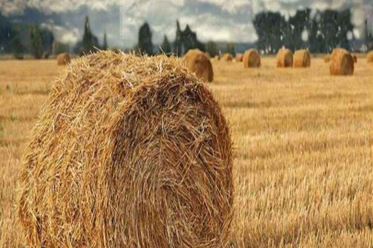 球盟会·(中国)-官方网站