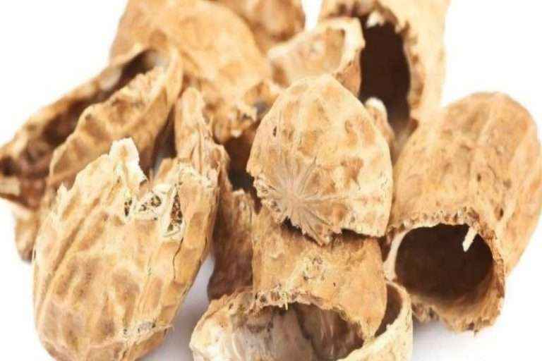 球盟会·(中国)-官方网站