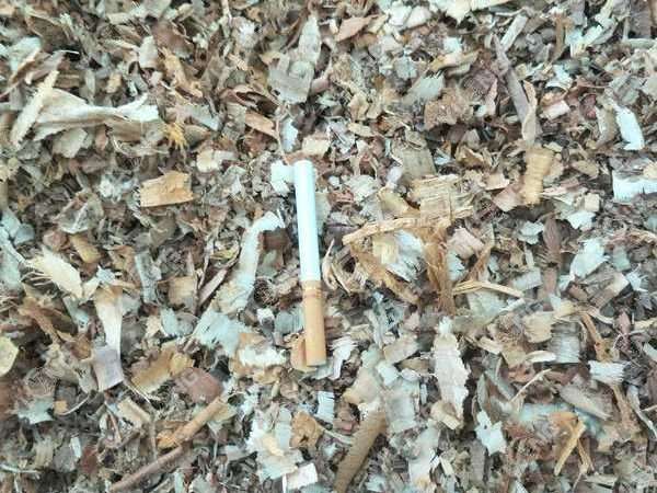 球盟会·(中国)-官方网站