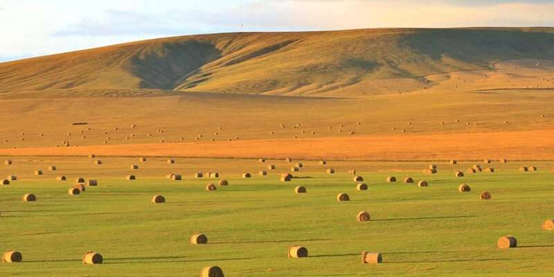 球盟会·(中国)-官方网站